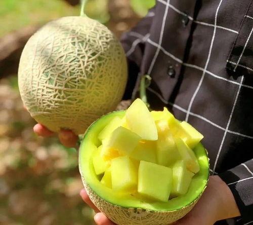 娱乐吃瓜八瓜,吃瓜八瓜,一网打尽明星幕后故事 第2张 娱乐吃瓜八瓜,吃瓜八瓜,一网打尽明星幕后故事 第2张